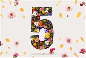 Characteristics of People with Life Path / Destiny Number 5 / Bhagyank 5