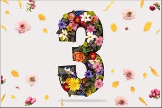 Characteristics of People with Life Path / Destiny Number 3 / Bhagyank 3