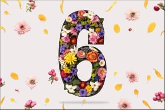 Characteristics of People with Life Path / Destiny Number 6 / Bhagyank 6