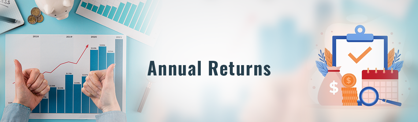 Annual Returns