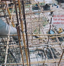  Tail Of Lion Under Construction at Vaishno Devi Dham Vrindavan by J C Chaudhry Numerologist