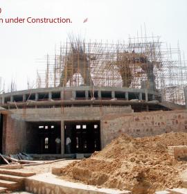 Legs Of Lion Under Construction at Vaishno Devi Dham Vrindavan by J C Chaudhry Numerologist