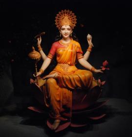 Darshan Of Siddhidatri Deviji at Vaishno Devi Dham Vrindavan by J C Chaudhry Numerologist