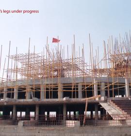 Work Of lion's Legs under Progressat Vaishno Devi Dham Vrindavan by J C Chaudhry Numerologist